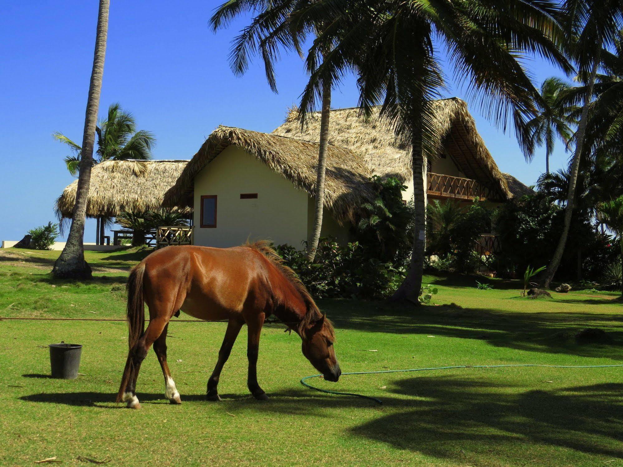 Villa Punta Coral El Francés Exterior foto